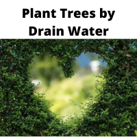 Plant tree to save water in appliances